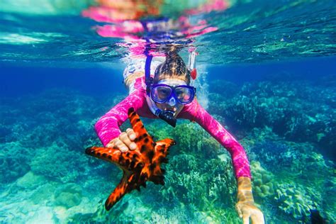 Snorkling In Maui You Will Love Snorkeling On This Tropical Island