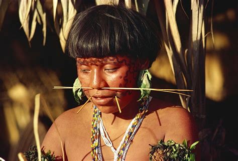 Portrait Of A Yanomami Woman With Nose Sticks And Facial Decoration In Brazil South America
