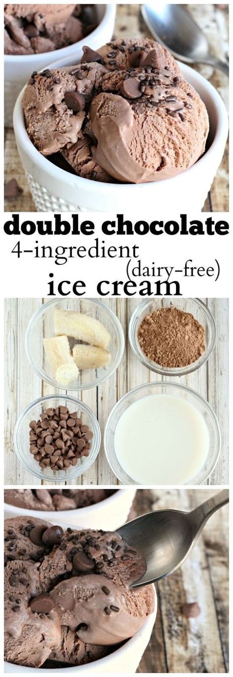 Dairy Free Chocolate Ice Cream Recipe Food Recipes Need Taste
