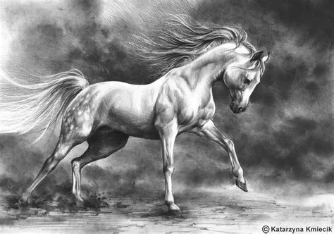 Katarzyna Kmiecik On Twitter Running Horse Original Drawing White