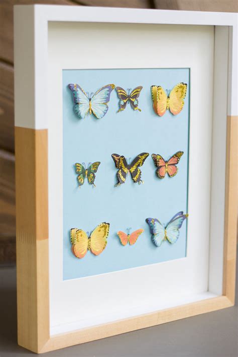 Diy Butterfly Specimen Wall Art Design Improvised