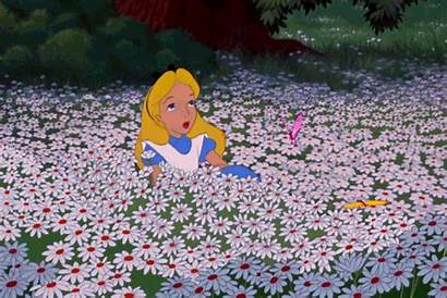 Alice Wonderland Flowers Spring Daisys Disney Aesthetic
