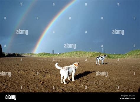 Double Rainbows After A Rain Shower Stock Photo Alamy