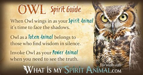 Owl Spirit Totem And Power Animal Symbolism And Meaning What Is My