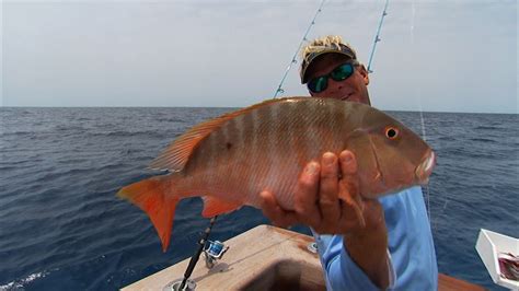 Bimini Bahamas Fishing For Snapper And Grouper Offshore Youtube