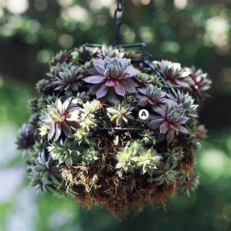 Another way to craft a hanging garden is to. Landscaping: Create stunning in the garden, hanging ...