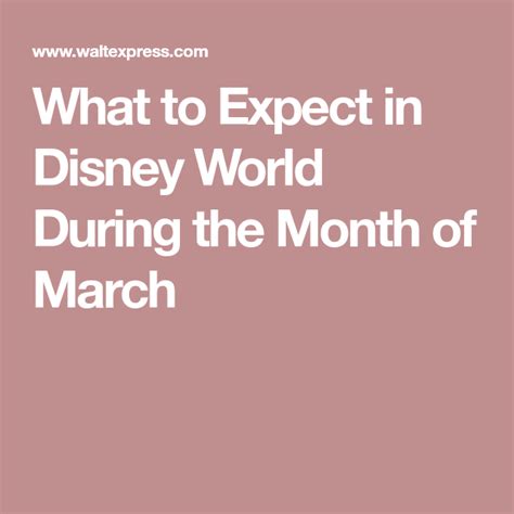 What To Expect In Disney World During The Month Of March March Month