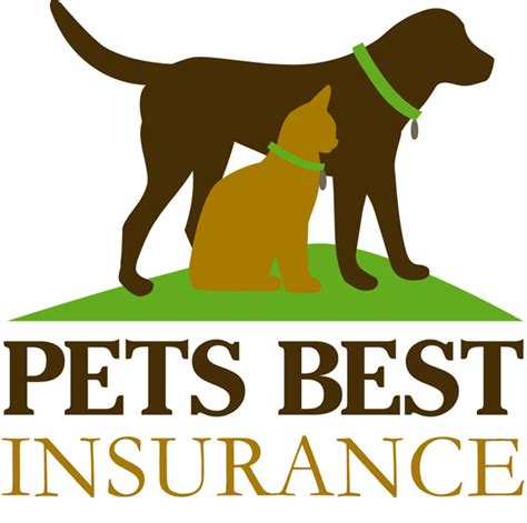 Introducing your figo pet cloud: Pets Best Insurance Reports its Top Most Costly Pet ...