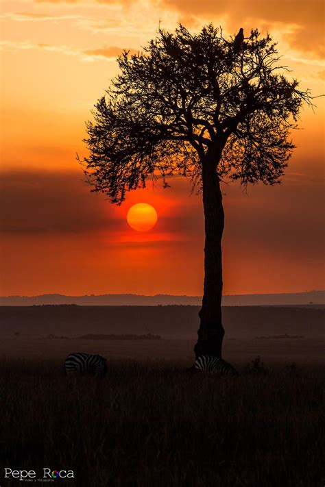 Another Masai Mara Sunset Sunset Beautiful Photos Of Nature Scenery