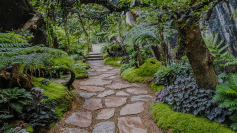 .rock your list of lawn with natural looking background while still having a few cactus plants along stone shapes and with rocks boulders river rock landscaping ideas is intended for most plants in the. 6 Rock Landscaping Ideas for Your Front Yard