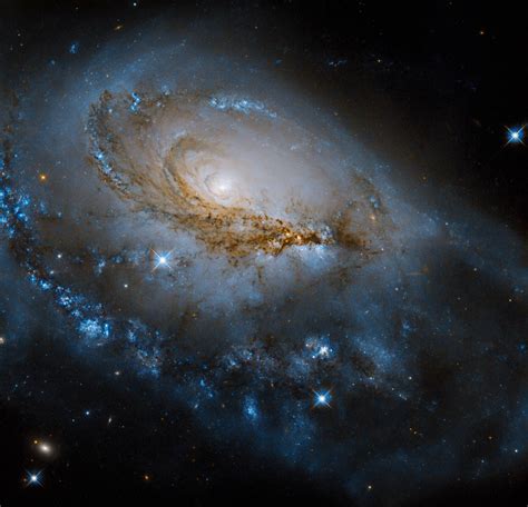 Hubble Focuses On Enormous Spiral Galaxy NGC 1961 Sci News
