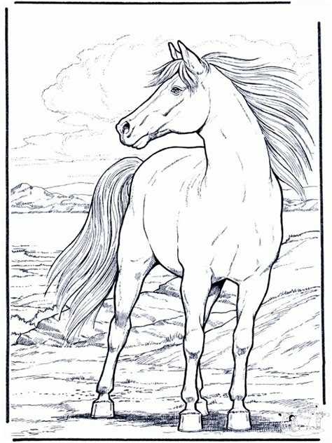 Hard Coloring Pages Of Realistic Horse For Adults Animal Coloring