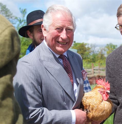 Prince Charles Is So Obsessed With Chickens, Fans Call His Home ...
