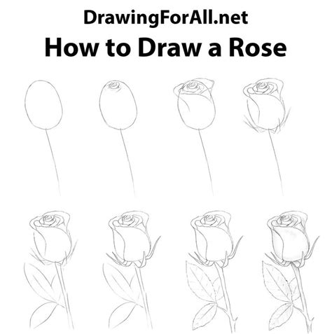 How To Draw A Rose Easy Roses Drawing Rose Drawing Simple Flower