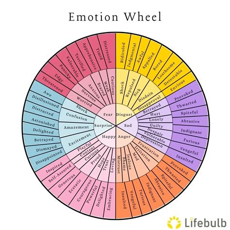 The Emotion Wheel How To Use It And Why