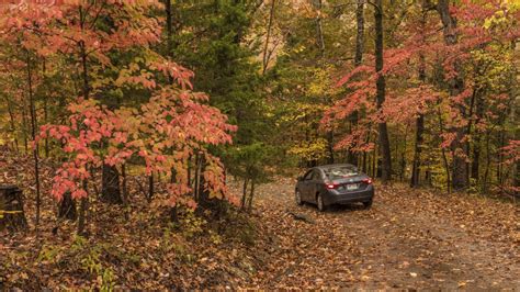 The Best Fall Drives In The Ozarks