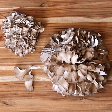 How To Cook Hen Of The Woods Mushrooms The Foodie Space