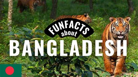 fun facts about bangladesh you didn t know youtube