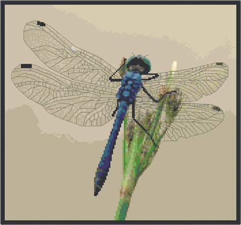 Blue Dragonfly Pattern Chart Graph