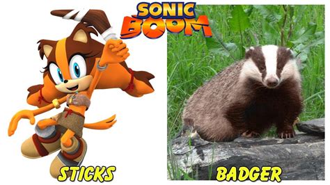 Sonic Boom Characters In Real Life Animals Youtube