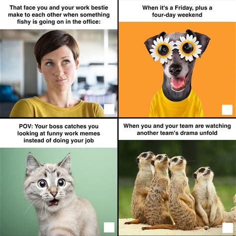 125 Funny Work Memes To Keep You Laughing Through The Week