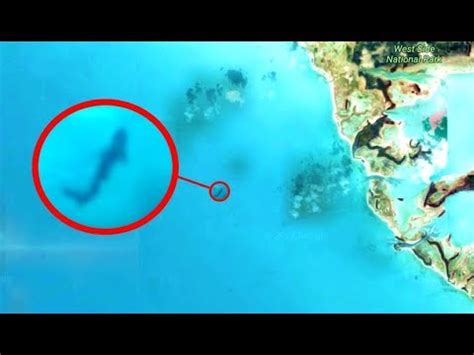 Follow clues and track her down! Видео Giant Megalodon Captured By Google Earth