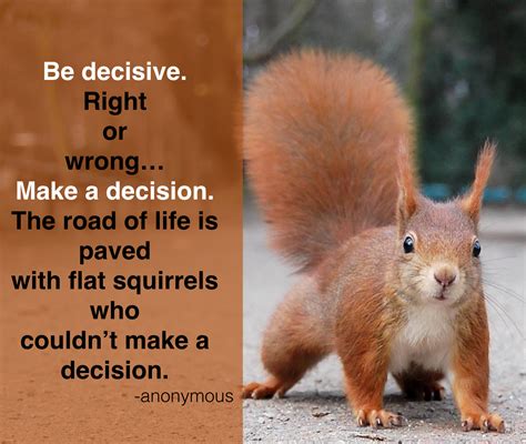 Dont Be A Flat Squirrel On The Road Of Life Make A Decision