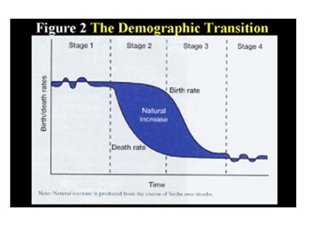 Solved What Is The Relationship Between The Demographic Shown Below