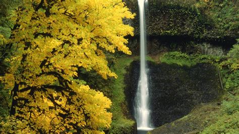 2560x1440 Waterfall Autumn River 1440p Resolution Wallpaper Hd