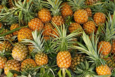 Pineapple Market Stock Image Image Of Food Fresh Decoration 32474213