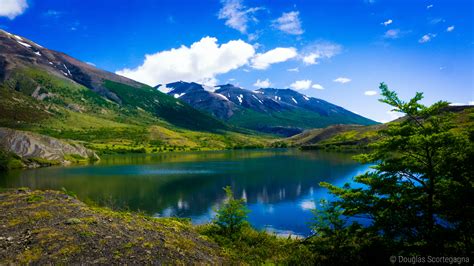 Green Trees Near Mountain With Body Of Water Hd Wallpaper Wallpaper Flare