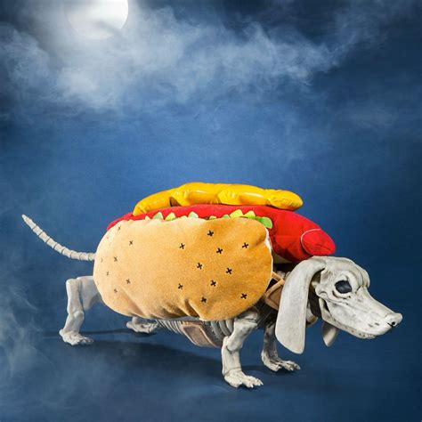 Target Dachshund Skeleton Halloweenie Pet Halloween Costumes Pet