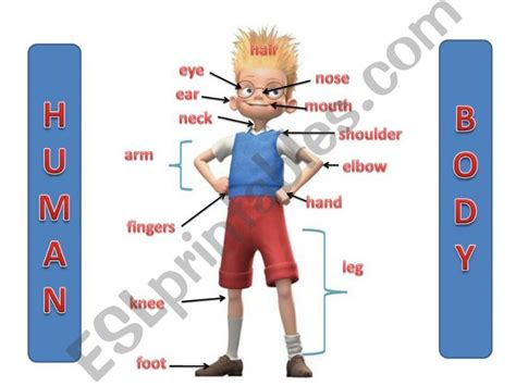 Esl English Powerpoints Parts Of The Body