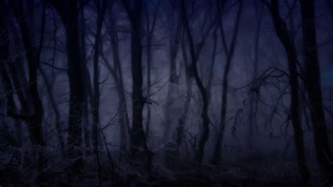 Haunted Forest Wallpaper 59 Images