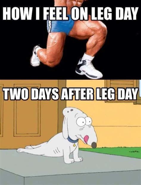 Hilarious After Leg Day Meme Inspiring Pictures Quotes Sayingimages Com