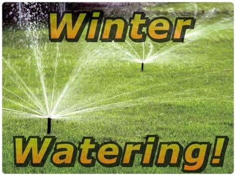 Winter Lawn Care Smart Earth Sprinklers Austin Sprinkler