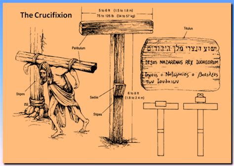 Roman Crucifixion Diagram