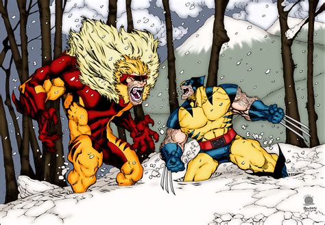 Wolverine Vs Sabretooth — Weasyl