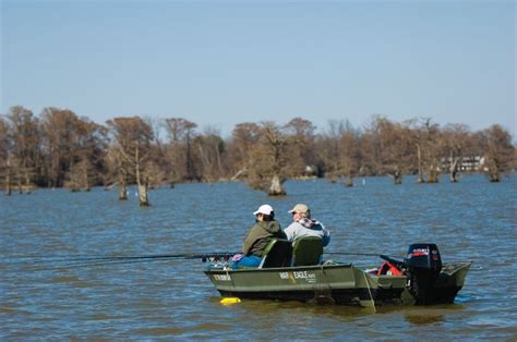 Bass Crappie Or Bluegill Reelfoot Lake Offers The Best Fishing