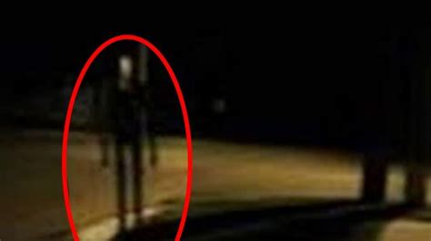 5 Unknown Creatures Caught On Camera And Spotted In Real Life Paranormal