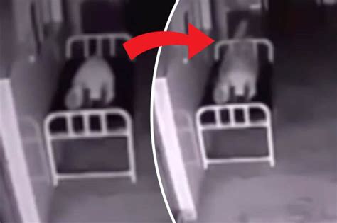 Do 'soul' and 'spirit' have the same meaning? Hospital footage shows woman's 'soul' drifting out of ...
