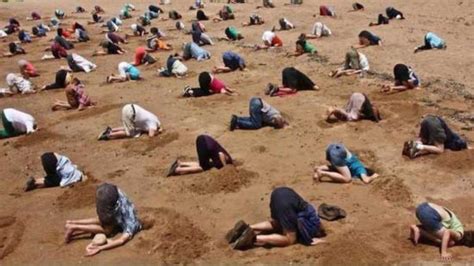 澳洲人头埋沙中讥讽总理对气候变化态度（图） 1 中国日报网新浪新闻