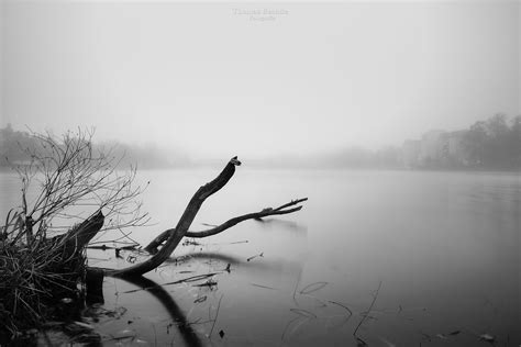 Fog Over The River Berlin Köpenick Thomas Bechtle Flickr