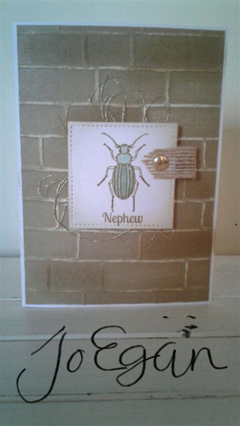 Made By Jo Egan Using Stampin Up Beetles And Bugs Brick Embossing