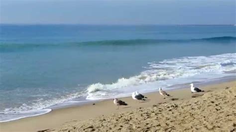 We are tied to the ocean. John F. Kennedy - Inspirational Quote: We are Tied to the Ocean - YouTube