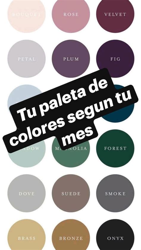 Tu Paleta De Colores Segun Tu Mes🌈 Paleta De Colores Colores Diciembre