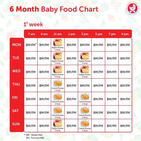 Breast milk and formula contain vitamins, minerals, and other important components for brain growth. 6 Months Food chart for Indian Babies | Baby food timeline ...