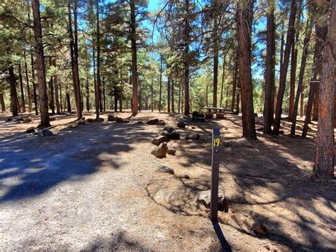 Site 19 Lakeview Campground Az