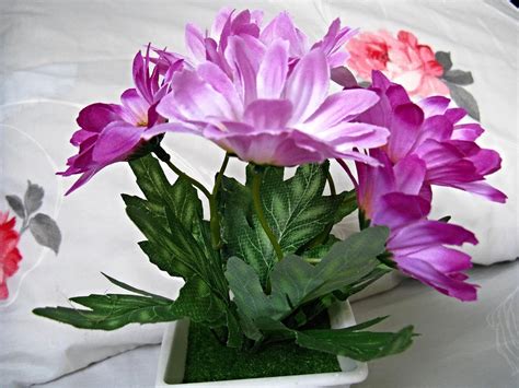 Silk Flowers That Almost Look Like The Real Thing Lingua Franca