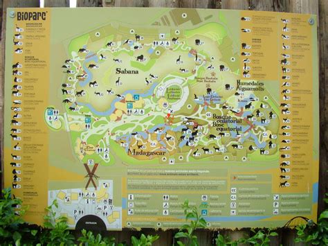 Map Of Bioparc Valencia 280511 Zoochat